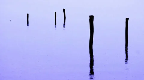 Poles in the rain Stock Footage 35207882