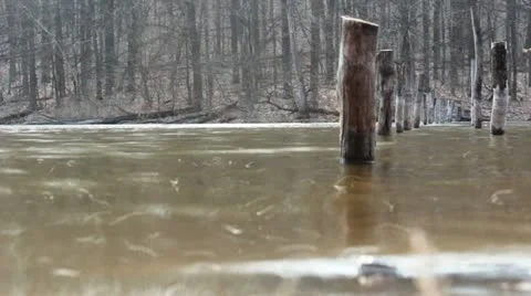 Poles in the water Stock Footage