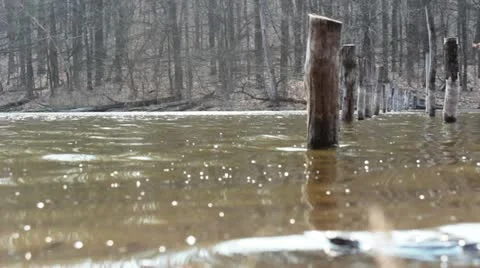 Poles in the water Stock Footage 10885247