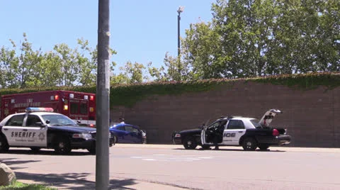 Police Action Stock Footage 25769344