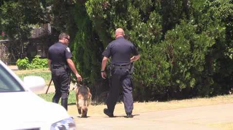 Police Action, k-9 dog Video stock 25770098