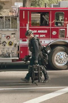Police Activity Stock Photos