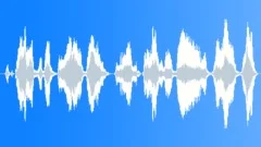 Police ArrestSound Effect