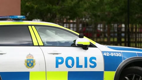 Police car Stock Footage 196936667