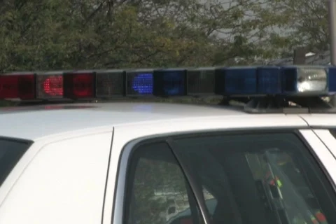 Police Car Lights Video stock 285091