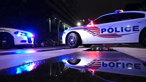 Police car reflects in puddle as light bar flashes at curb Stock Footage 327047758