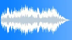 POLICE CAR Sound Effect