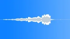 POLICE CAR Sound Effect