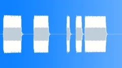 POLICE CAR Sound Effect