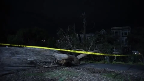 Police cordon flapping in wind by fallen tree Stock Footage 236612852