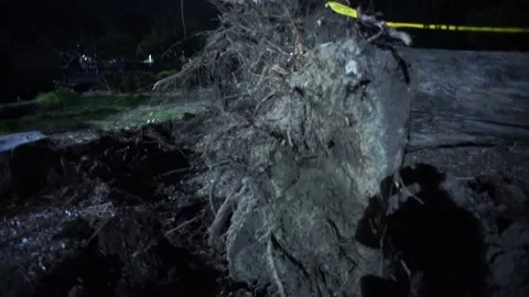 Police cordon off uprooted tree after bomb cyclone in San Francisco Stock Footage 236612853