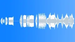 POLICE - Cruiser Siren, Miscellaneous StationarySound Effect