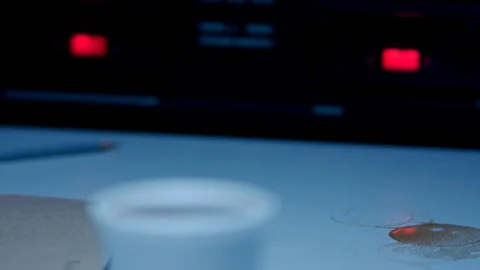 Police Custody Interrogation Interview Room - Detective Places Cup on Table Stock Footage 114796913