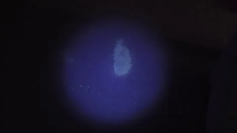 Police detective using a black light to search for clues Stock Footage 304293638