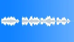 Police dispatchSound Effect