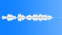 Police dispatchSound Effect