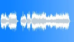 Police dispatchSound Effect