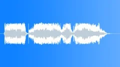 Police dispatch Sound Effect