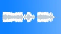 Police dispatchSound Effect