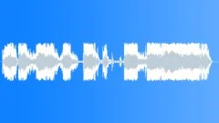 Police dispatchSound Effect