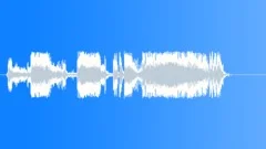 Police dispatchSound Effect
