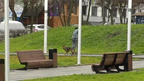 A police dog handler walks with a dog in the park Video stock 163977510