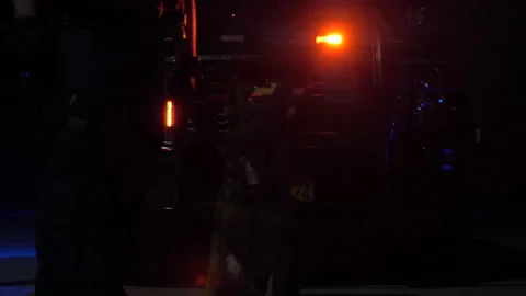 Police Dog Stands Next to Trainer in Flashing Patrol Car Lights Stock Footage 208763507