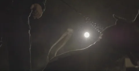 Police dog with trainer handler in training camp at night Stock Footage 117012640