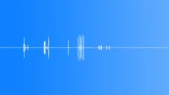 POLICE, EQUIPMENT Sound Effect