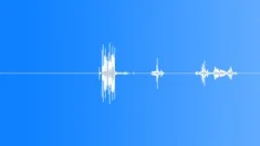 POLICE, EQUIPMENT Sound Effect