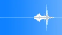 POLICE, EQUIPMENTSound Effect