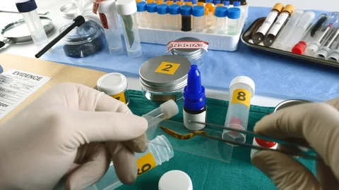 Police expert verifies a dry leaf as fundamental test in a murder case in crime  Video stock 106827601
