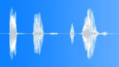 Police / FBI Radio Message: Hostage Situation! Voice Signal, Male, V2Sound Effect