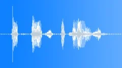 Police / FBI Radio Message: Hostage Situation! Voice Signal, Male, V1Sound Effect