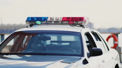 Police flasher on the car. Security and justice concept Stock Footage 170564008