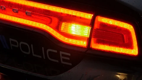 Police Flashing Lights Stock Footage 102246379