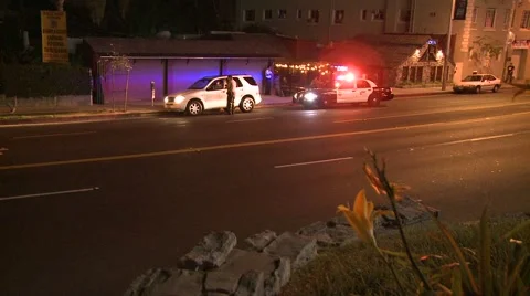 Police Stock Footage 5166024