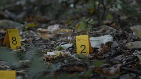 Police Forensics Markers Next to Bullets on the Leaves of a Forest Floor Stock Footage 251480267