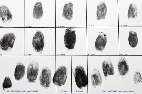 Police form with fingerprints, top view. Forensic examination Stock Photos