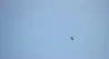 Police helicopter HD Footage