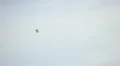 Police helicopter HD Footage