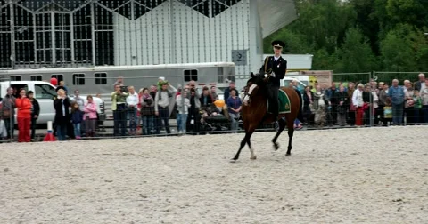 Police horse gets Stock Footage 66794763