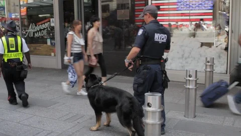 Police K9 Unit in Times Square 動画素材 106538423