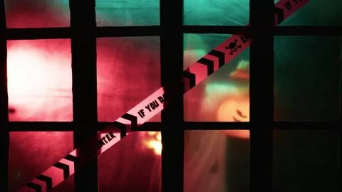 Police Light Arriving To Get The Killer Stock Footage 317620818