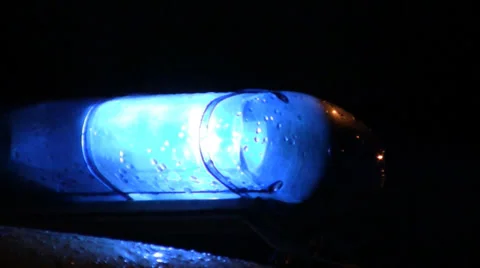 Police light 스톡 동영상 29659127