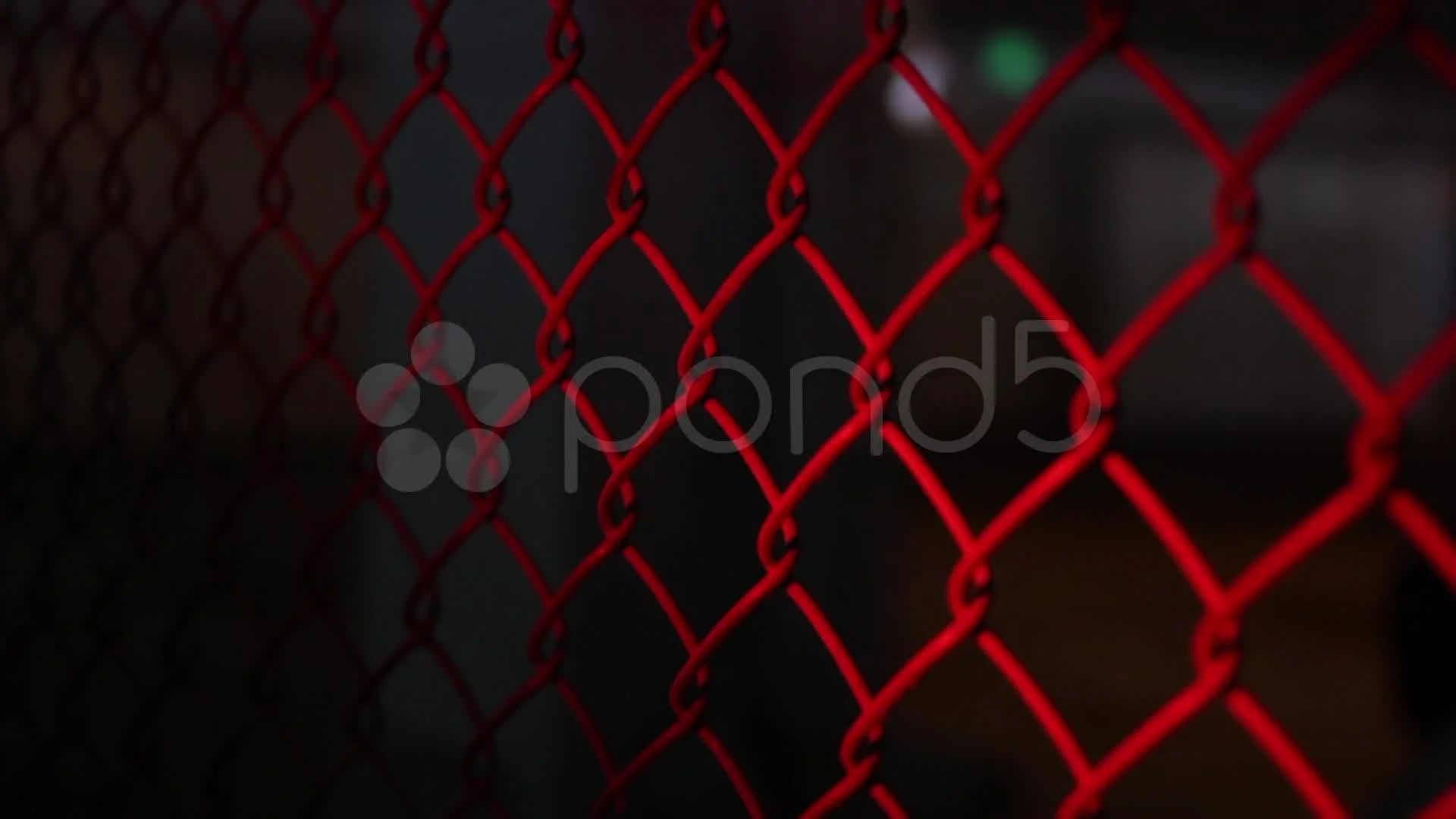 Police Lights Chainlink Fence