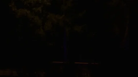 Police Lights City Stock Footage 78767688