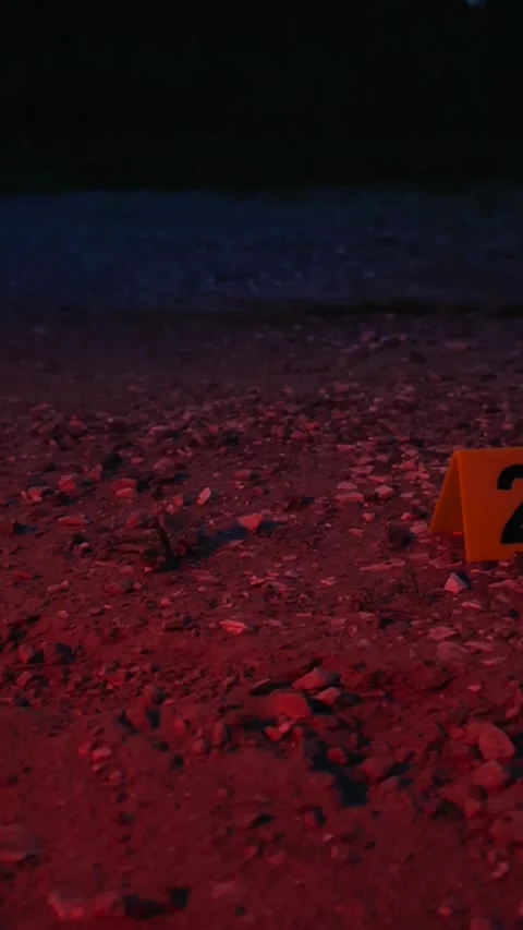 Police Lights Flashing on Bullets on Mud Road and Evidence Markers at a Crime Stock Footage 338993838