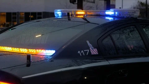 Police Lights Rear Stock Footage 102246394