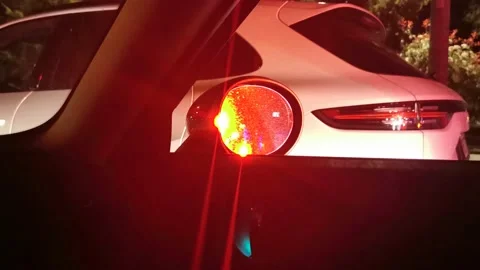 Police lights visible from inside the car Stock Footage 195447980